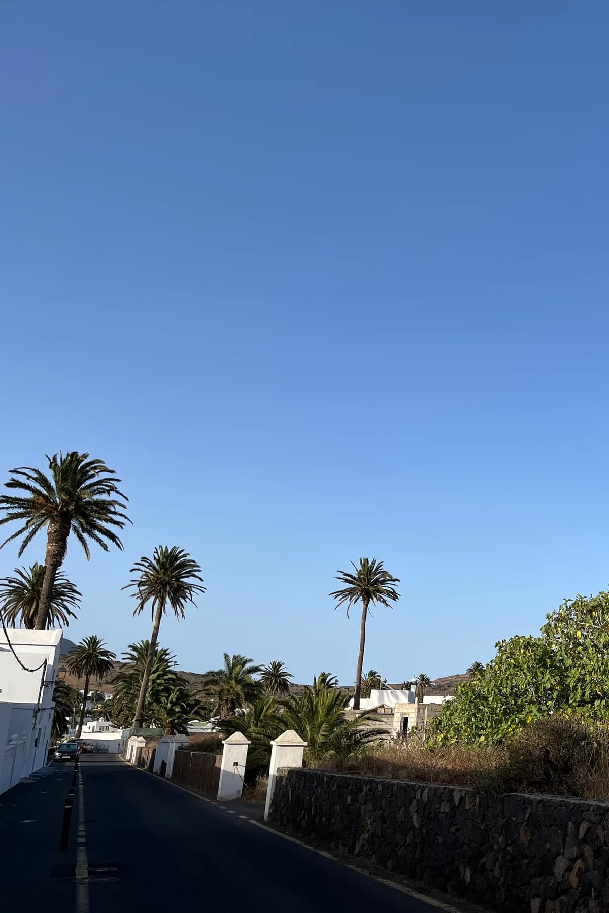 La vuelta al norte: palmeras, riscos y la mañana más verde de la isla